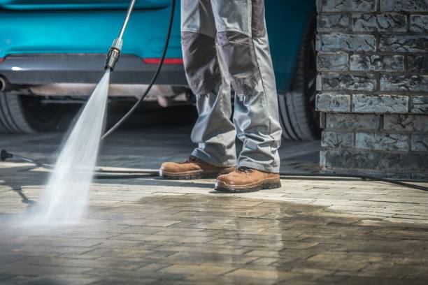 Best Roof Washing  in Washburn, WI