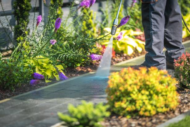 Best Boat and Dock Cleaning  in Washburn, WI
