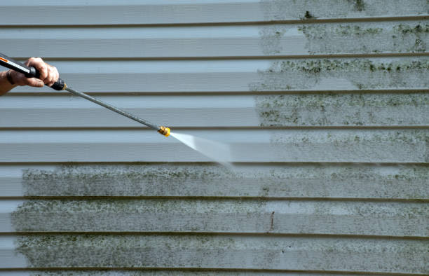 Best House Exterior Washing  in Washburn, WI